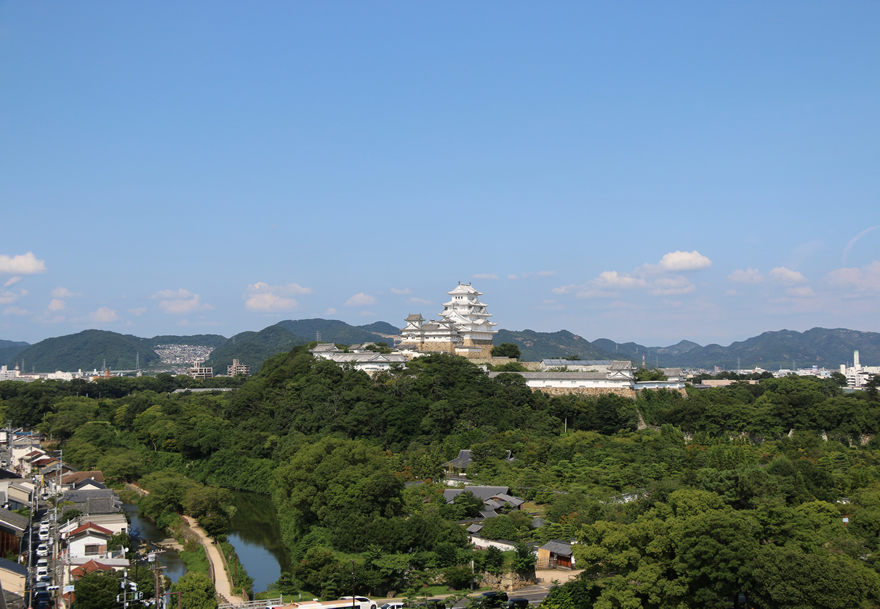 夏の表情