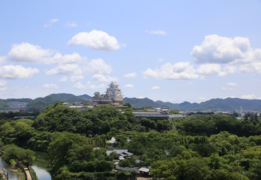 夏の表情